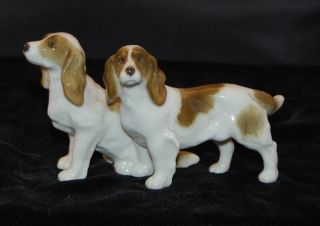 Double Hutschenreuther Dog Figurine - Springer Spaniels - 3.  25 " H -