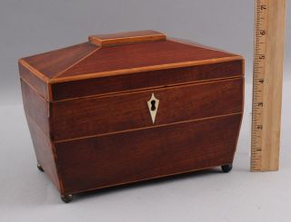 Antique 19thc Regency Empire Walnut Satinwood Inlay Double Tea Caddy Box