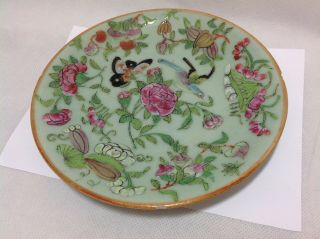 Chinese Porcelain Famille Vert Rose Flower Butterfly Plate Qing Dynasty Celadon