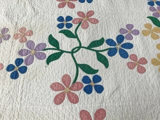 Cottage c 1930s Floral Applique QUILT Vintage Webster Inspired 3