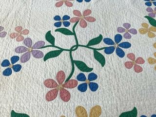 Cottage c 1930s Floral Applique QUILT Vintage Webster Inspired 4