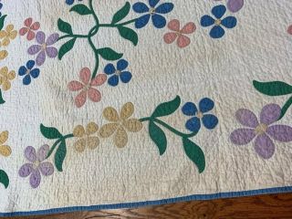 Cottage c 1930s Floral Applique QUILT Vintage Webster Inspired 7