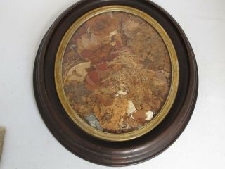 Antique Bridal Bouquet Flowers Pressed Into A Victorian Frame 1893 W/ Provenance