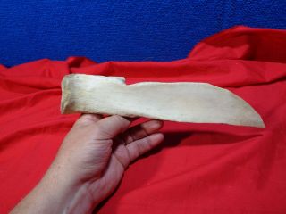 Vintage Native American Tool Carved Buffalo Bone Scrape 2 3