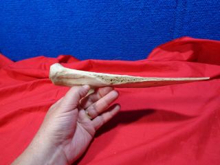 Vintage Native American Tool Carved Buffalo Bone Scrape 2 4