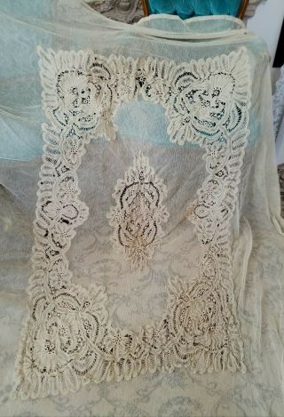 Beautifully Detailed Antique Netted Tambour Lace Bedspread 3