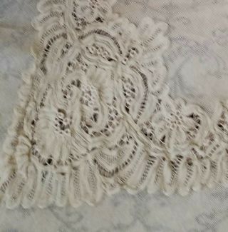 Beautifully Detailed Antique Netted Tambour Lace Bedspread 5