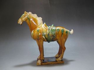 Ch0295 China Tang San Cai Green Yellow Brown Pottery Old Horse Modeling