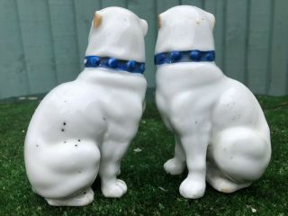 PAIR: MID 19thC STAFFORDSHIRE PUG DOGS WITH ENCRUSTED FLOWER DECOR c1890s 7