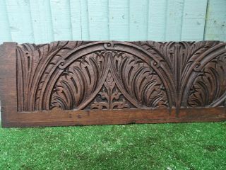 16thc Wooden Oak Panel With Leaves & Other Relief Carvings C1580s