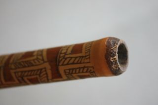 rare smoking pipe from the Korowai people known as the tree house people 4