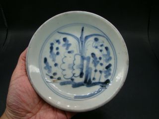 Chinese 18th Century Blue White Dish U3191