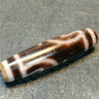 Tibet dzi bead old agate Aquarius gzi lncluded certificate amulet antique 2