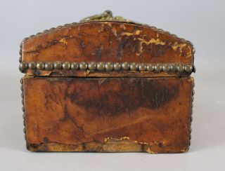 Small Antique Early 19thC Leather & Wood,  Dome Top,  Chest Trunk Box Brass Tacks 4