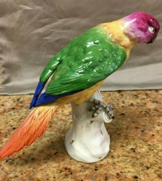 Very Rare German Porcelain Parrot On Branch Brightly Colored 1920