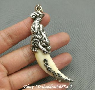 Collect China Old Miao Silver Carve Dragon Head Dogtooth Amulet Necklace Pendant