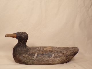 Antique Carved Wood Duck Decoy w Old Paint Primitive Cabin Decor AAFA 3