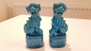 A Foo Dogs Turquoise Blue Chinese Figures Statutes Foo Dogs Fu Dogs