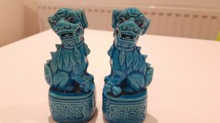 A Foo Dogs Turquoise Blue Chinese Figures Statutes Foo Dogs Fu Dogs 5