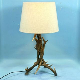 25 " Vintage German Black Forest Hunt Table Lamp Stag Fallow Deer Antler W/shade