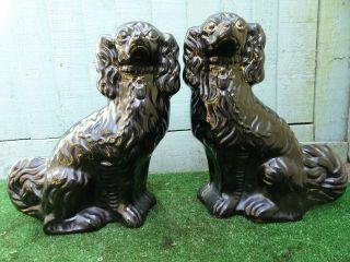 Pair: Large 19thc Large Staffordshire Jackfield Black Spaniel Dogs C1880s