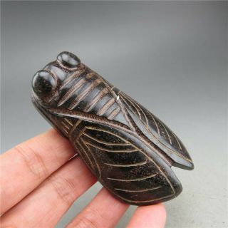 China,  Jade,  Hongshan Culture,  Natural Jade,  Cicada,  Pendant A19