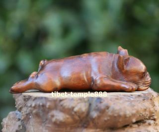 8.  5 Cm Chinese Boxwood Handwork Family Animal Pet Dog Beagle Bulldog Sculpture
