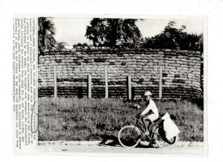 Vietnam War Press Photo - Boy Bikes Past Execution Post - Hue