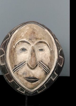 Outstanding Tribal Fang Ngil Mask - Gabon