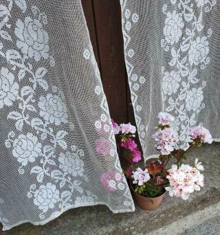 Pretty Antique French Floral Lace Fringed Long Panel Curtains C.  1900s