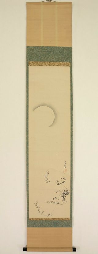 掛軸1967 Japanese Hanging Scroll : Kasen " Moon And Bush Clover " @n351