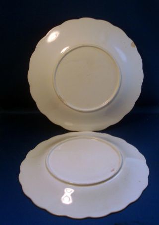 2 Antique English Opaque Porcelain Plates 19th c.  Purple Still Life Painting 7