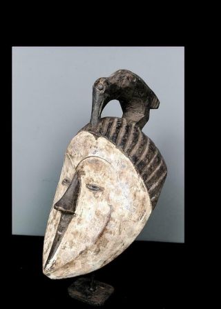 Old Tribal Fang Ngil Mask Wth Bird - Gabon 3