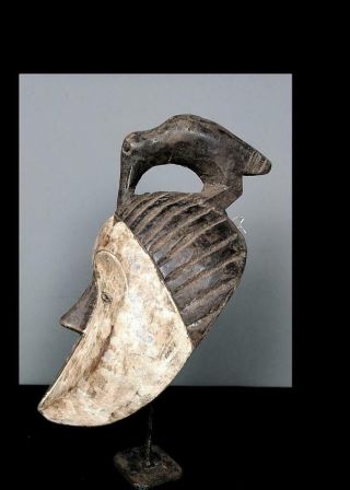 Old Tribal Fang Ngil Mask Wth Bird - Gabon 4