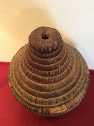 Antique Native American Hopi Indian Lidded Coil Seed Basket 1800’s 2