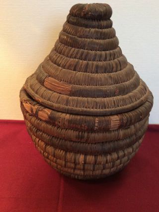 Antique Native American Hopi Indian Lidded Coil Seed Basket 1800’s 3