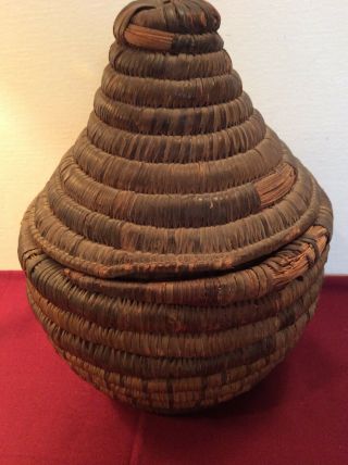 Antique Native American Hopi Indian Lidded Coil Seed Basket 1800’s 4