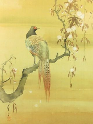 Bird & Flower Japanese Hanging Scroll Hand Painted " Suiho " Pheasant Kachoga 136
