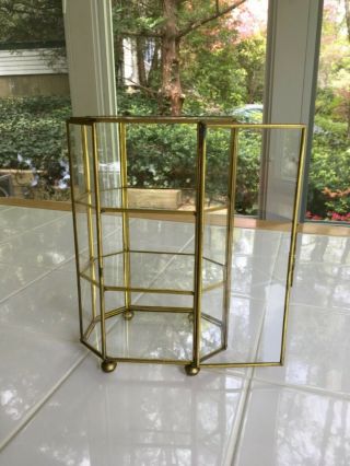 Glass Antique Brass Display Case