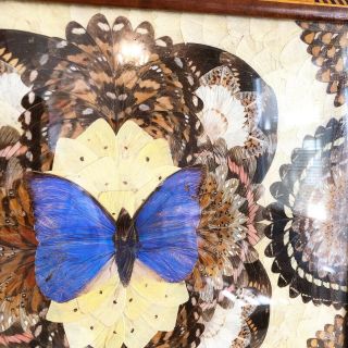 Brilliant Blue Vintage BUTTERFLY WING Mosaic Wooden Inlay TRAY 20” x 13” 3