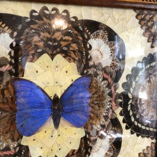 Brilliant Blue Vintage BUTTERFLY WING Mosaic Wooden Inlay TRAY 20” x 13” 4