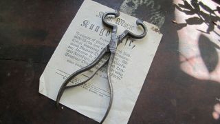 Antique very old sugar tong - cutter - with profiles 18th - 19th century 2