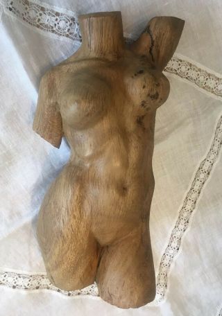 Mid - Century FEMALE TORSO Bust Nude Woman Hand - Carved Teak Wood Carving Sculpture 2