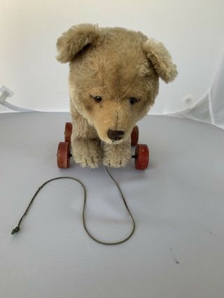 1900’s Rare Vintage Pull Bear On Wheels