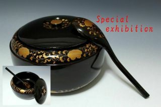 Japan Antique Edo Gold Makie Box Case Set Samurai Katana Koshirae Yoroi Tsuba 武将