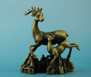 Chinese Old Fengshui Copper Hand - Carved Mother And Son Deer Zoology Statue D02