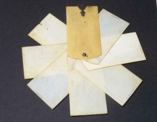 Antique Pocket Diary Victorian Aide - Memoire Calendar Bovine Bone Or Celluloid