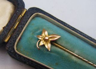 A C19th Century Victorian Era 9ct Gold Tie / Stock / Lapel Pin With Metal Shaft.