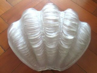 Art Deco Shell Odeon Frosted Glass Light Shade Panel
