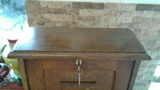 Antique Oak Wall Or Freestanding Cabinet Vgc 4